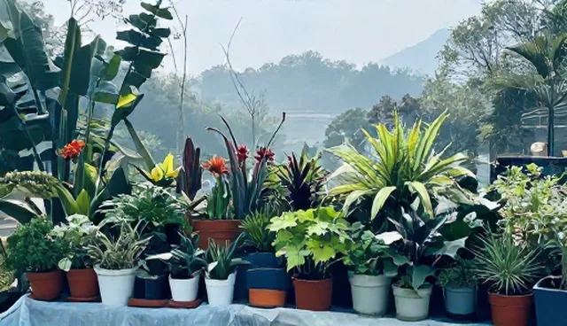 网站自助建站中光线运用的误区与优化策略
